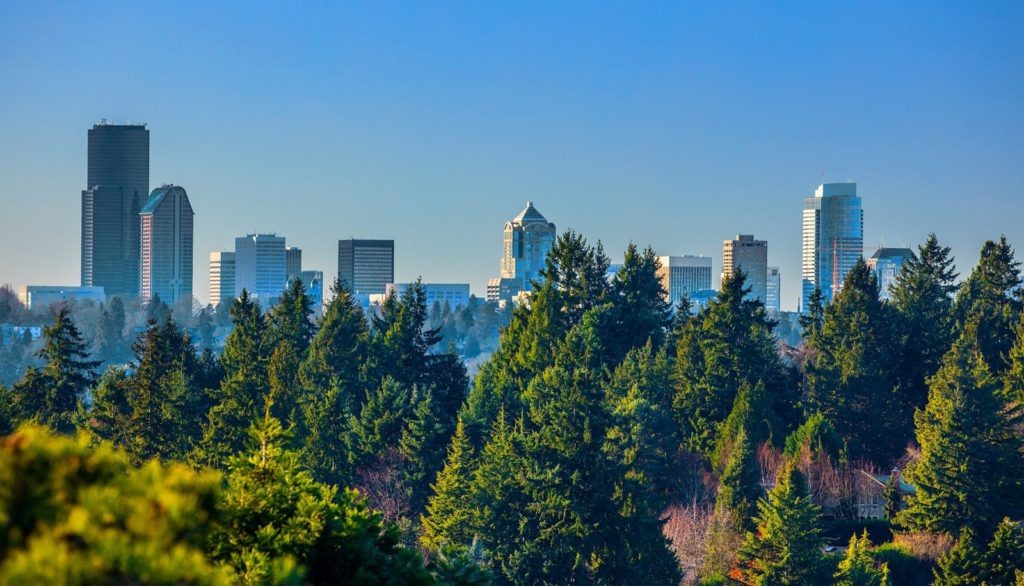 satya-nadellas-view-915891-1024x586