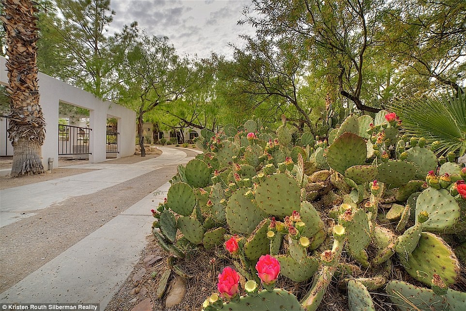 34c0d14700000578-3615257-image-a-83_1464543204085