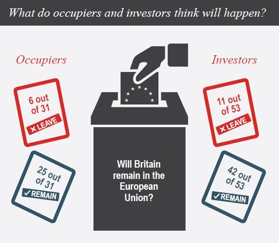 Brexit: ocupantes corporativos e investidores do Reino Unido apostam no “não” 