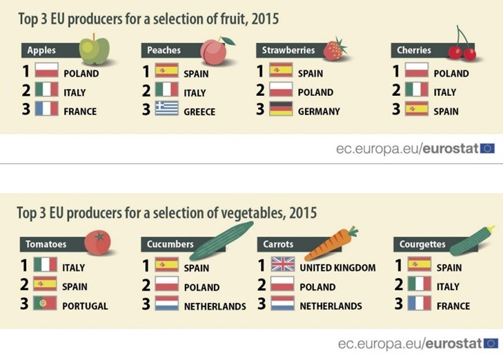 Portugal foi o terceiro maior produtor de tomate da UE em 2015