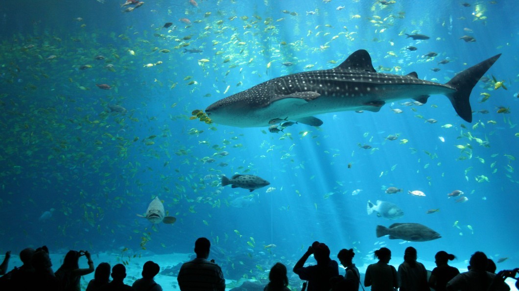 Estes são os 25 parques temáticos mais populares do mundo