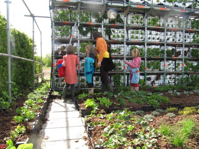 Quem disse que são feios? 10 engenhosos usos de andaimes que desmentem a sua má fama