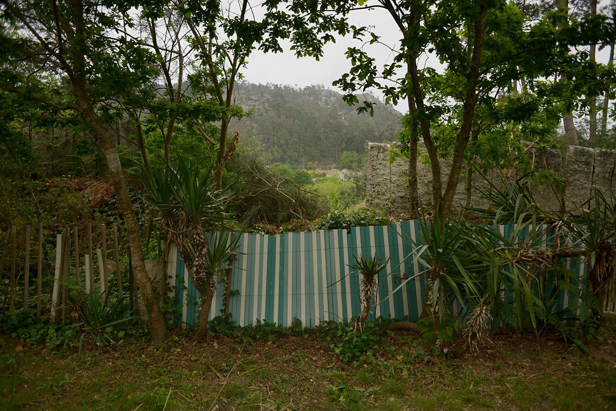 Terrenos por limpar e edifícios abandonados, o combustível que queimou o Funchal