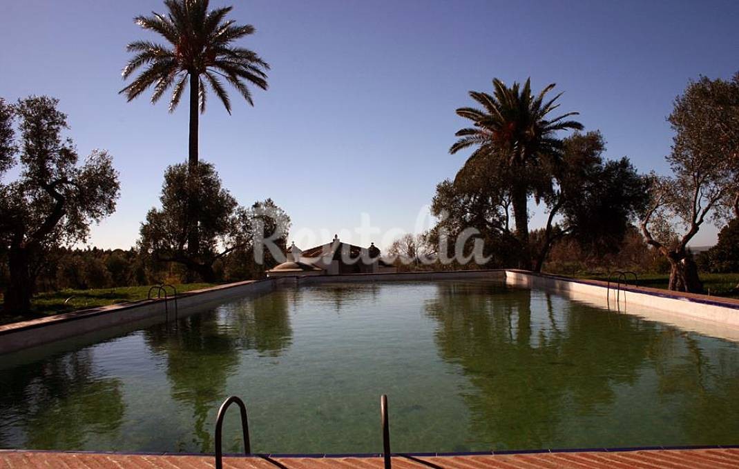 casa-ensueno-hacienda-cadiz2