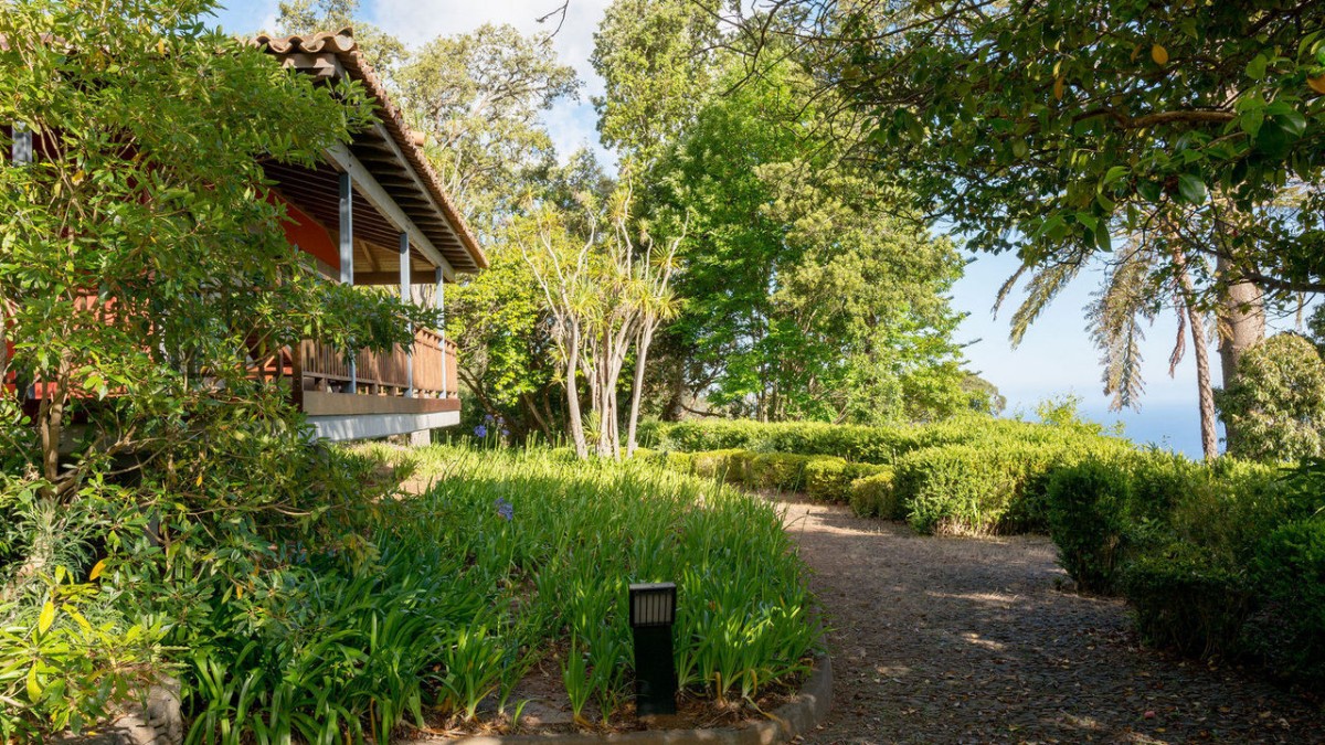 Choupana Hills. O antes e depois do hotel de luxo da Madeira consumido pelas chamas 