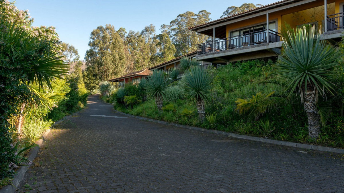 Choupana Hills. O antes e depois do hotel de luxo da Madeira consumido pelas chamas 