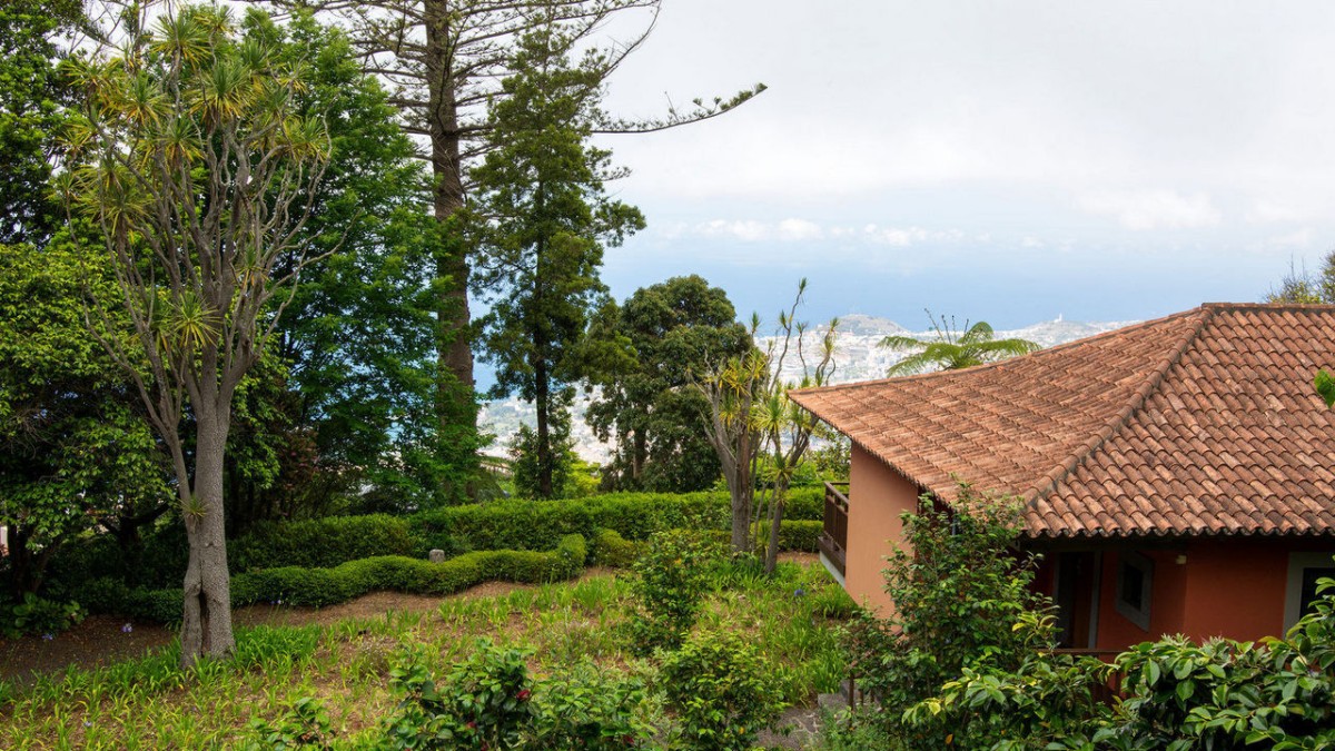 Choupana Hills. O antes e depois do hotel de luxo da Madeira consumido pelas chamas 