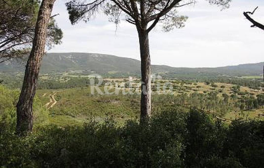 h.1257208.1070.680.0.ffffff.wm_.ed728d1f