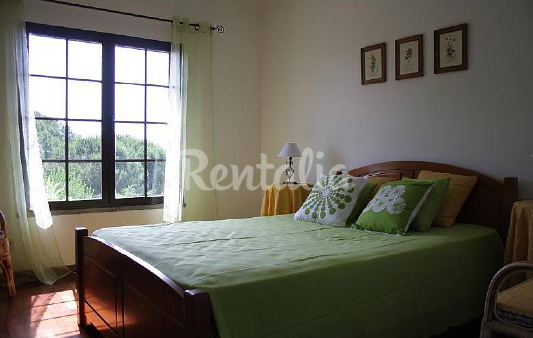 h.1257217.1070.680.0.ffffff.wm_.86cd6de4