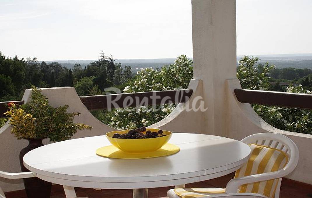 h.1259939.1070.680.0.ffffff.wm_.ced29929