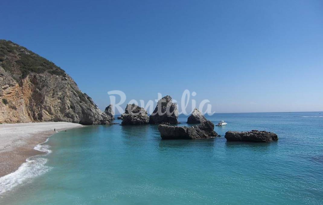 h.1272817.1070.680.0.ffffff.wm_.8d31a3d9