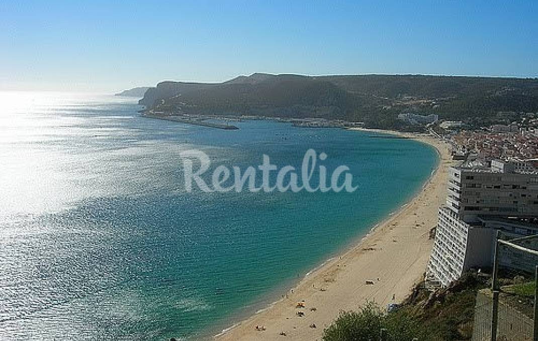 h.1272821.1070.680.0.ffffff.wm_.eef627a9