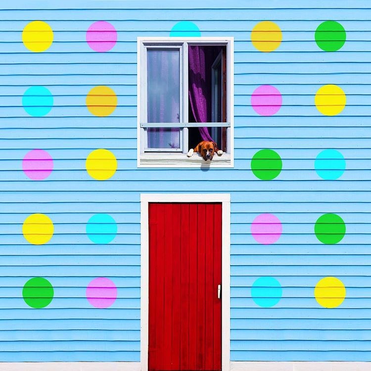 O “caçador de cores” anda pela Europa a fotografar as fachadas mais atrativas