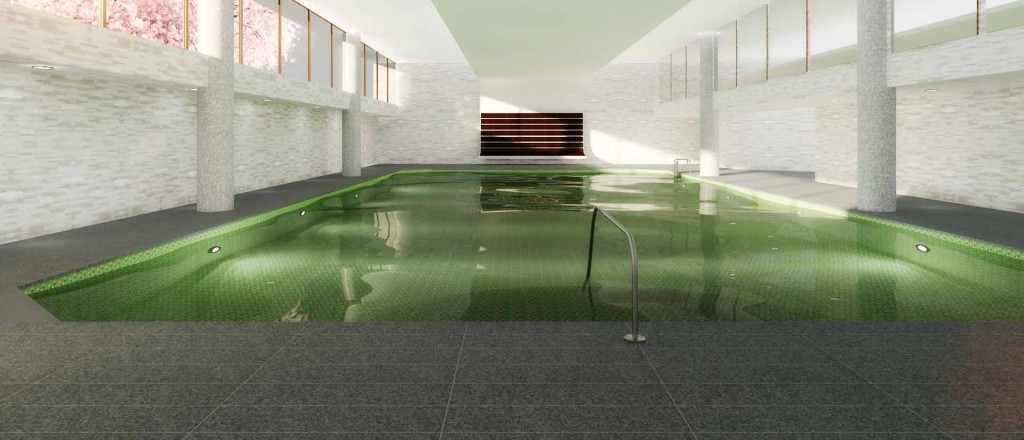 pool-front-view_opt-e1452785794355-1024x440