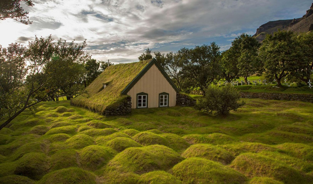 Quando cresce uma casa no... jardim: 21 espetaculares vivendas integradas na natureza 