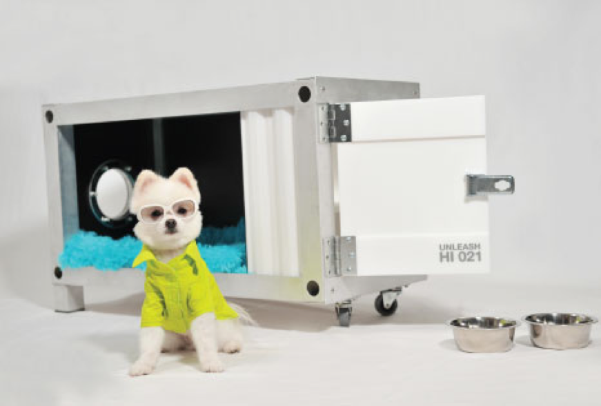 container_doghouse_21