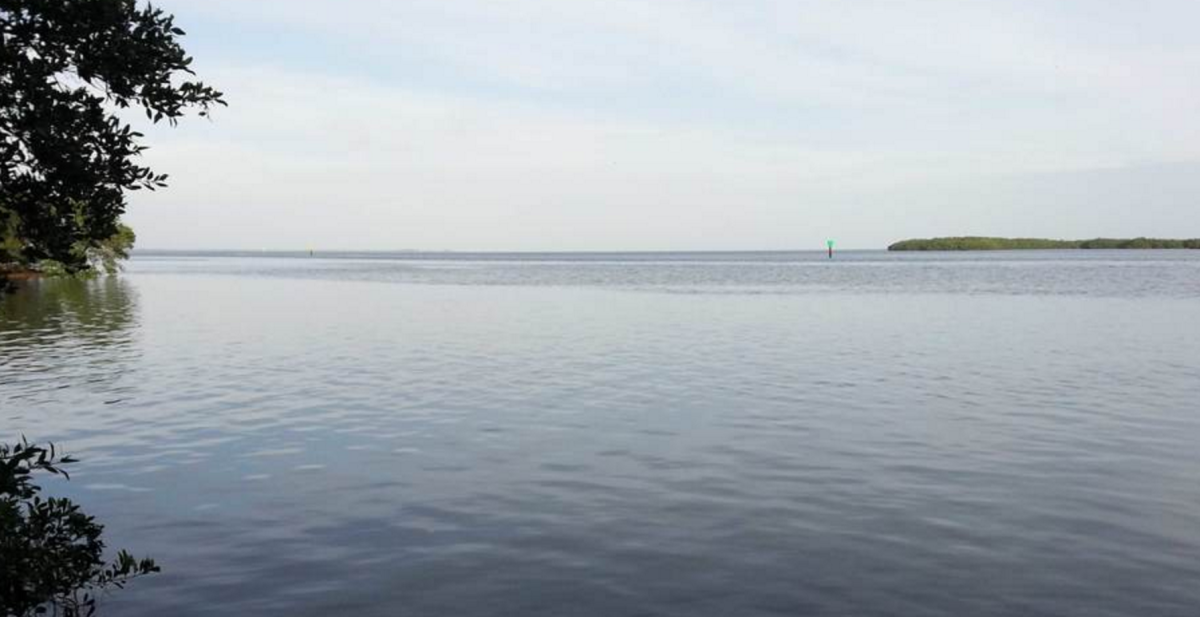 Coquina Key Esta ilha está à venda por 529.000 euros
