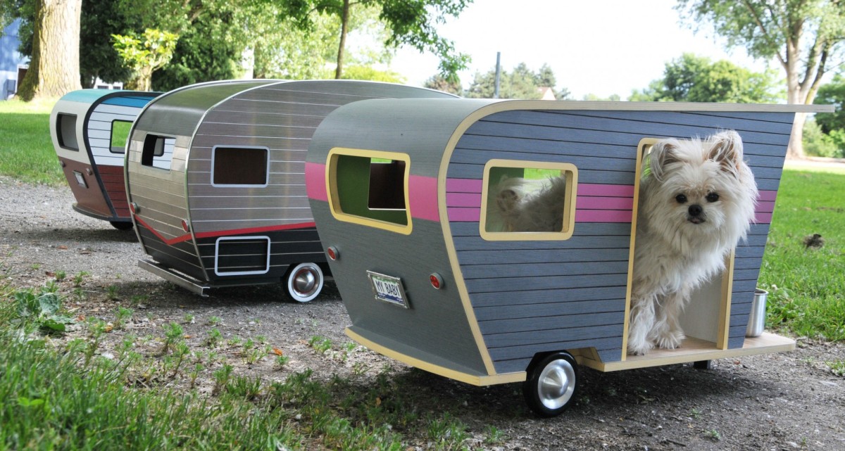 Quando o teu cão tem uma casa melhor que a tua
