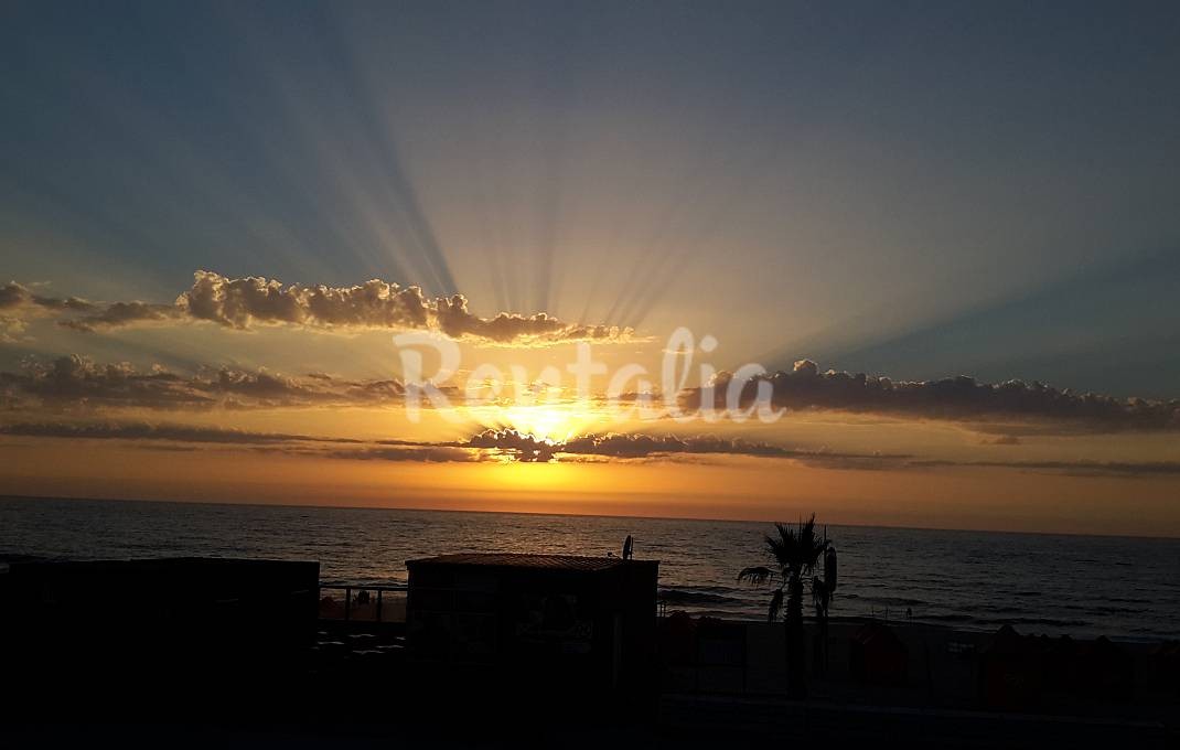 h.5035383.1070.680.0.ffffff.wm_.33dc6869