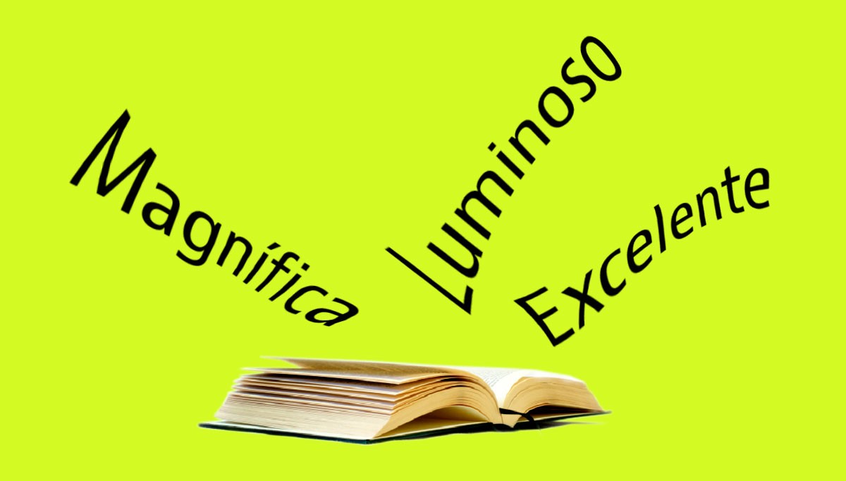 Excelente, magnífica e luminoso: os adjetivos mais usados para vender casas em Portugal 