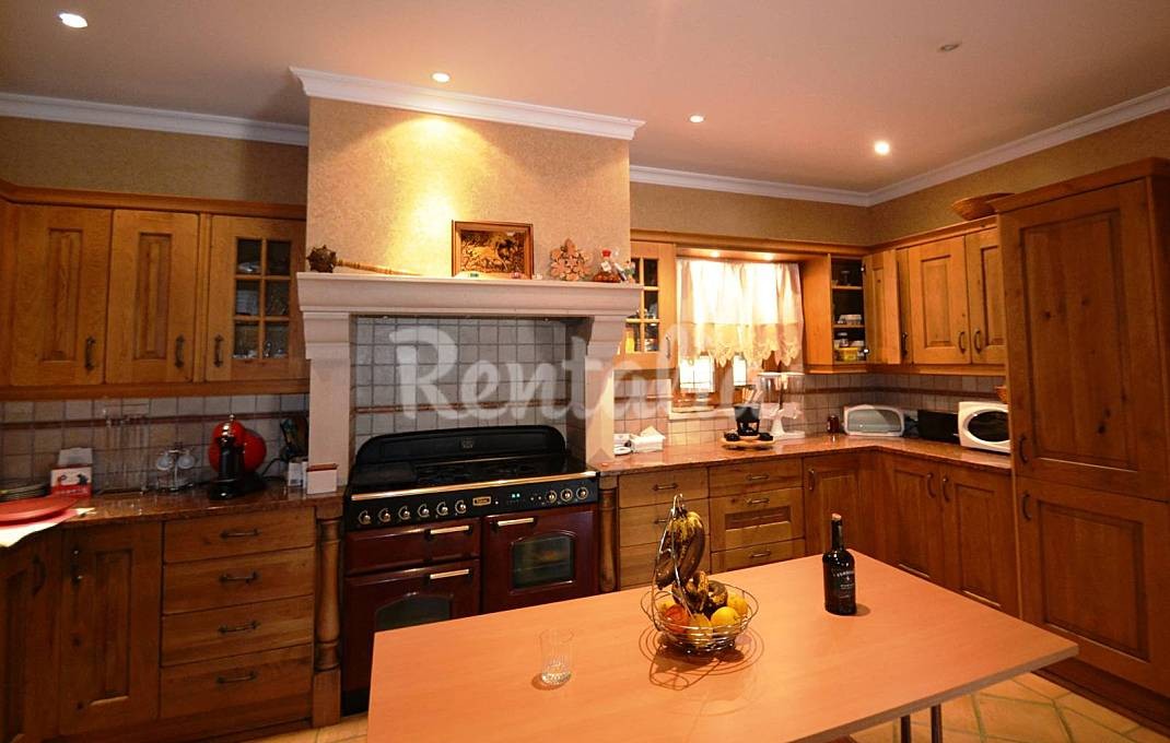 h.2201017.1070.680.0.ffffff.wm_.2af435fd