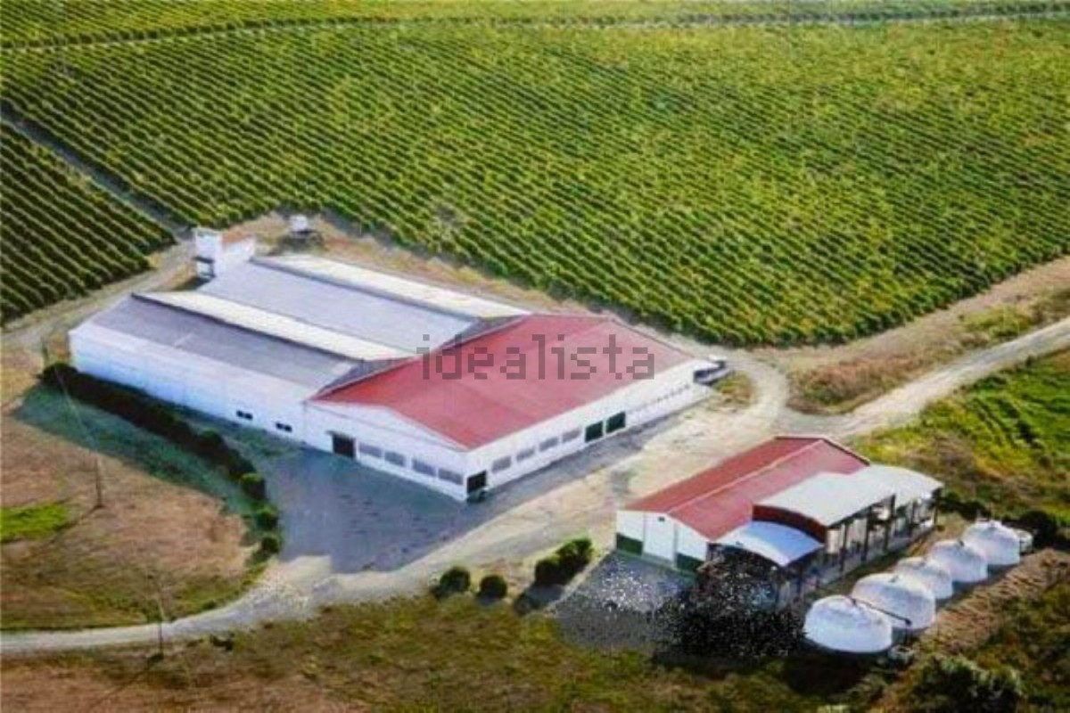 As casas da semana (de 14 a 18 de novembro)
