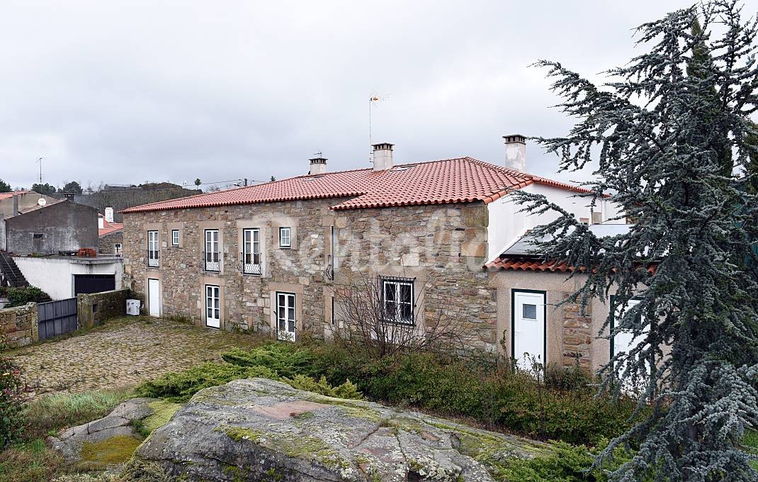 h.9262426.1070.680.0.ffffff.wm_.e0825fc0