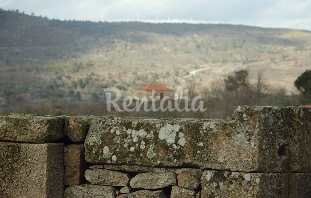 h.9262427.1070.680.0.ffffff.wm_.0e46c180