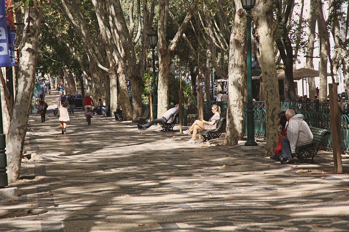 Av.Liberdade é cada vez mais uma zona residencial e menos de escritórios