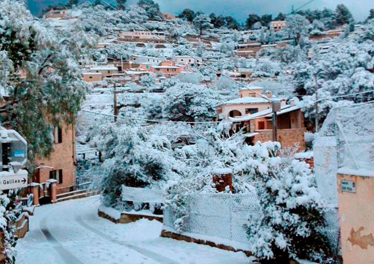 Os "estragos" que a vaga de frio da Península Ibérica já fez em Espanha
