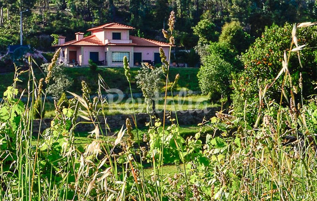 h.1943595.1070.680.0.ffffff.wm_.7c51c59c