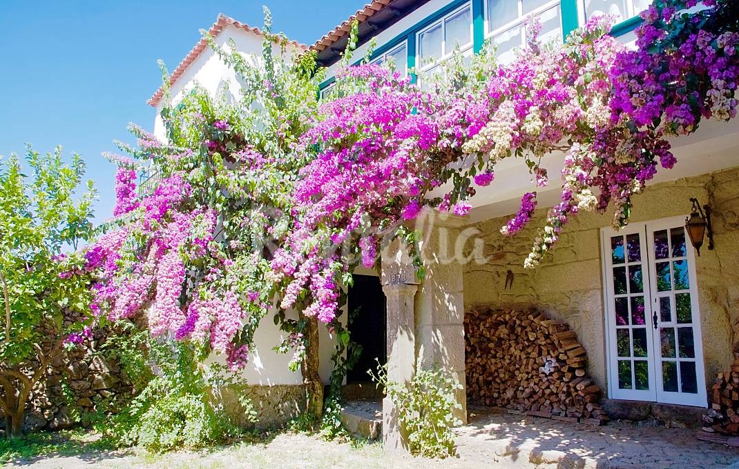 h.7617308.1070.680.0.ffffff.wm_.d186c630