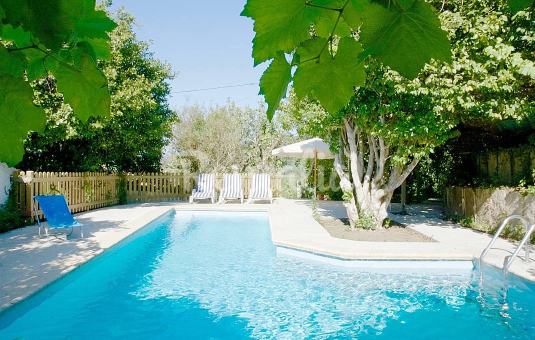 h.7617310.1070.680.0.ffffff.wm_.eeed0e09