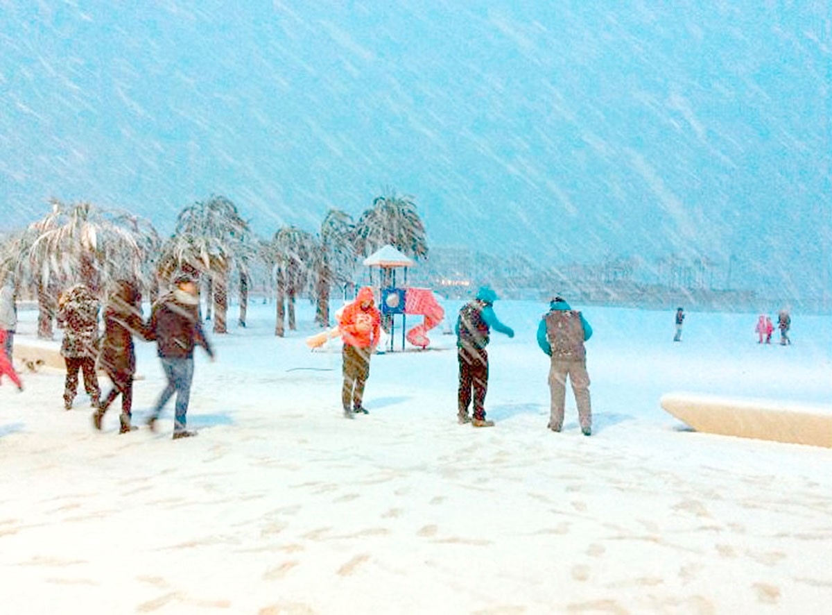 Os "estragos" que a vaga de frio da Península Ibérica já fez em Espanha