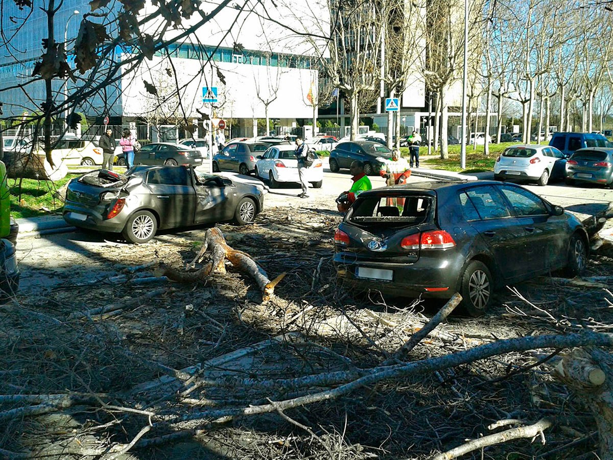 Os "estragos" que a vaga de frio da Península Ibérica já fez em Espanha