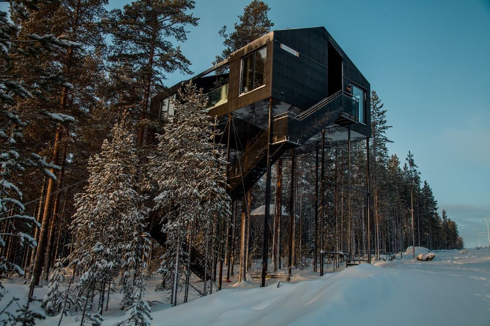 tree-hotel-noruega2