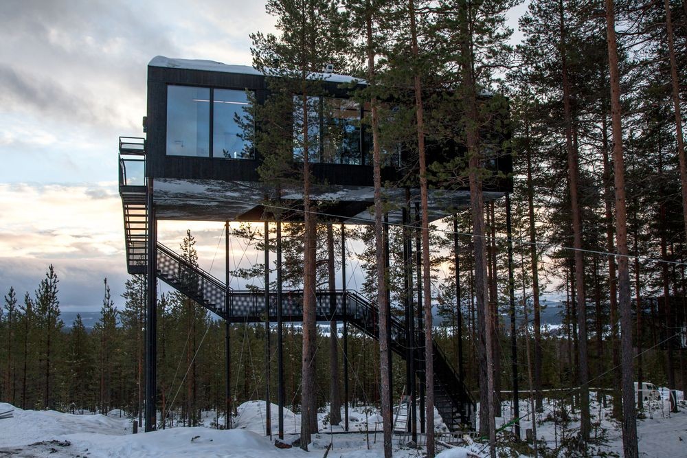 tree-hotel-noruega3_0