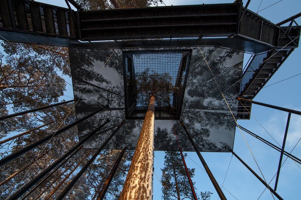 tree-hotel-noruega4