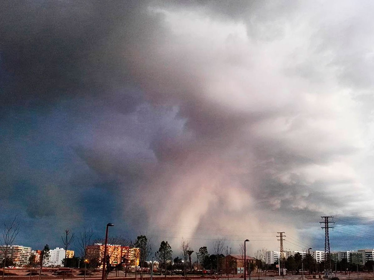Os "estragos" que a vaga de frio da Península Ibérica já fez em Espanha