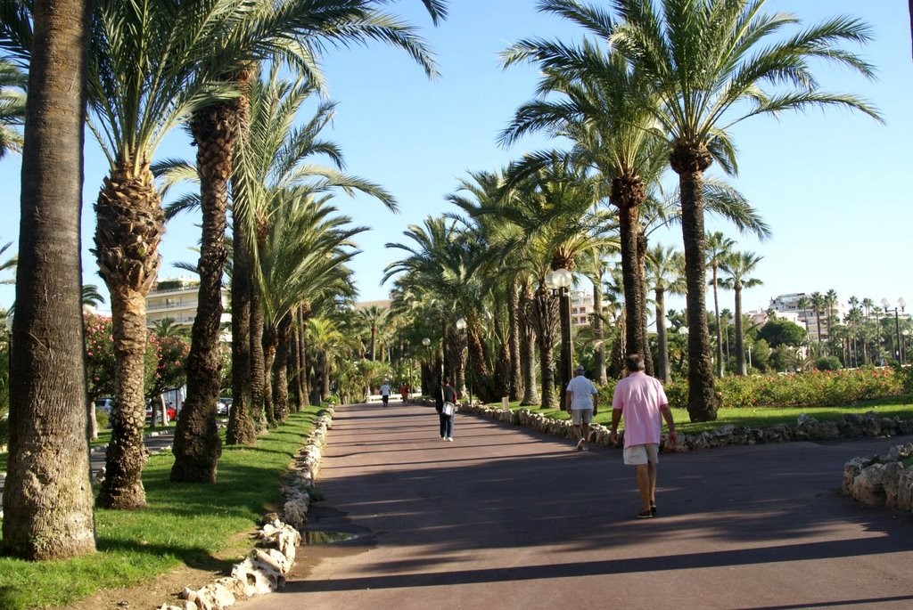 Promenade de la Croisette, Cannes (França) 5