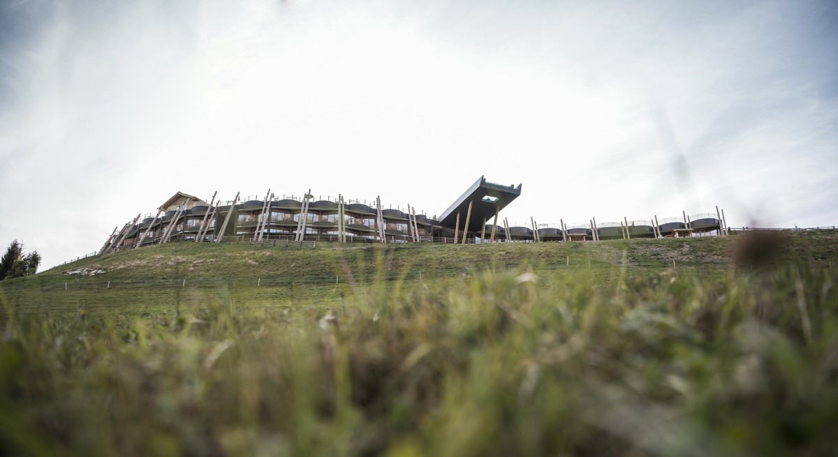 _dsc8461b