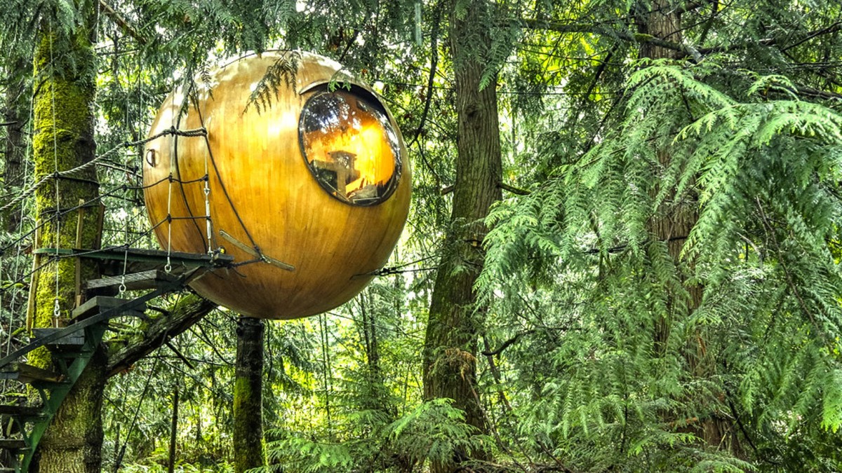 Free Spirit Spheres: dormir flutuando no bosque numa esfera pendurada numa árvore