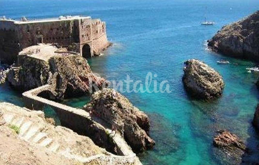 h.10254173.1070.680.0.ffffff.wm_.105c5b76