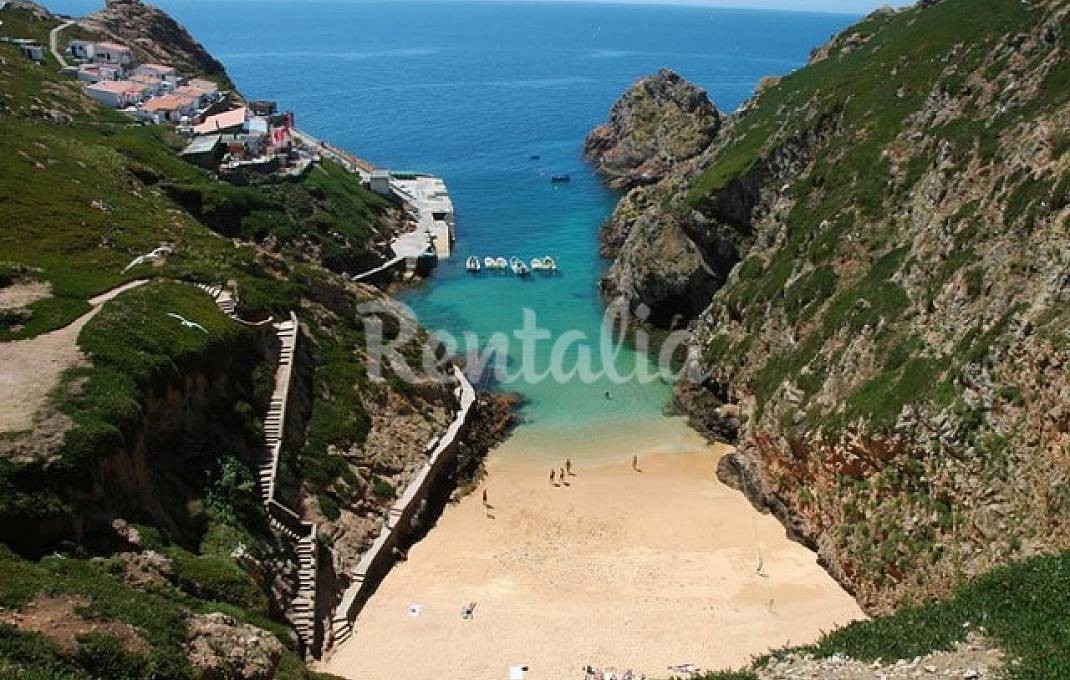 h.10254277.1070.680.0.ffffff.wm_.13c55c6d