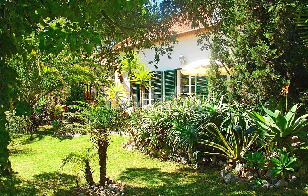 h.1205658.1070.680.0.ffffff.wm_.57994676