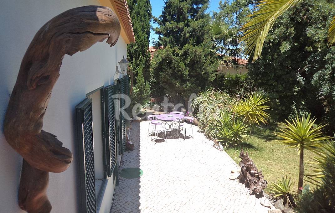 h.2532834.1070.680.0.ffffff.wm_.7c623638