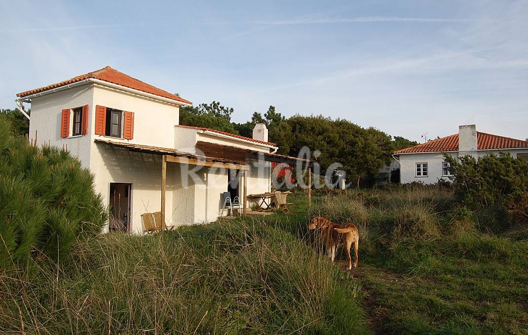 h.6097549.1070.680.0.ffffff.wm_.9e6a266f