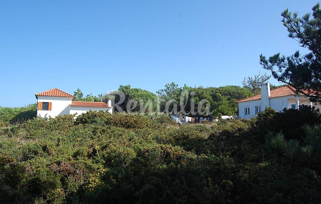 h.6097620.1070.680.0.ffffff.wm_.9129b238