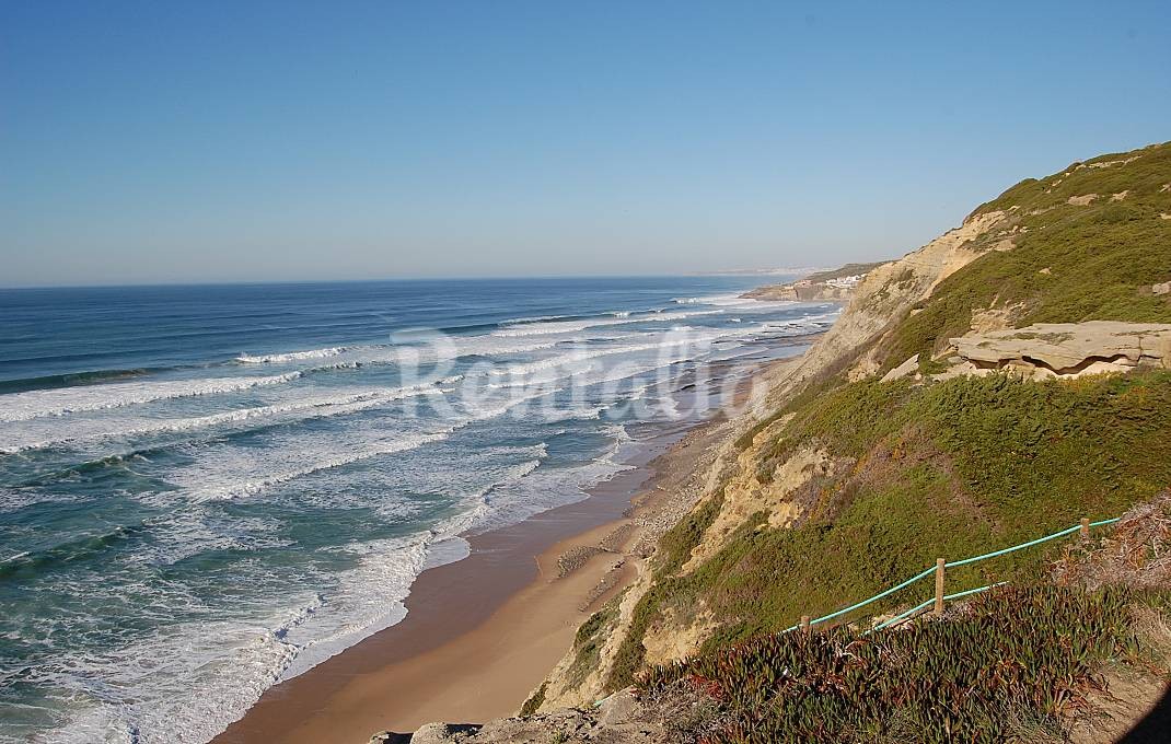 h.6097709.1070.680.0.ffffff.wm_.d999d389