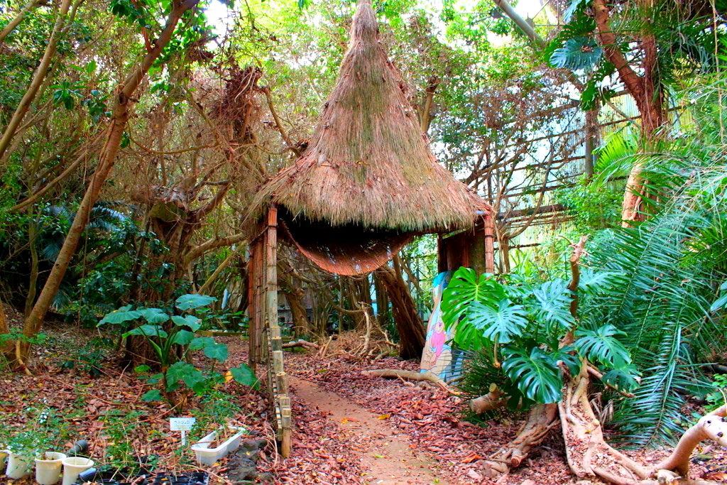 Um jardim botânico abandonado no Japão que parece o Parque Jurássico